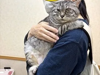 すもっち家の１週間～ぼんさんソレンシア接…