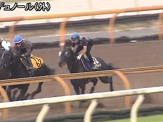 【天皇賞秋2026予想オッズ】1週前追い…