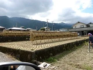 秋の一風景