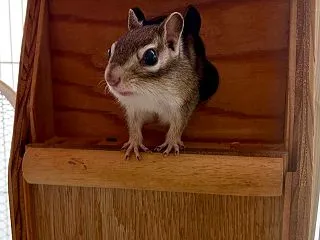 さぁ次は！