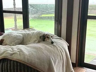 ものすごい雨です☔