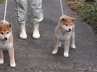 仲のいい兄妹だょ～