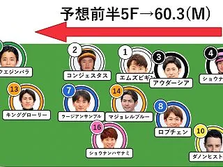 菊花賞の予想2026【ロブチェンの不安要…