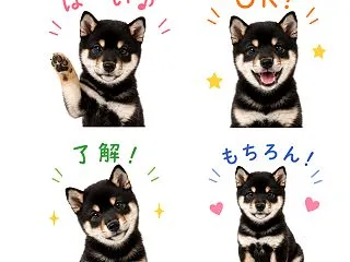 Jasy！と初めてのグランピング♡ドーム…
