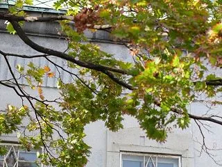 自分の価値が他人の評価が基準になってる人…