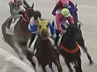 2026年10月26日 大井競馬予想