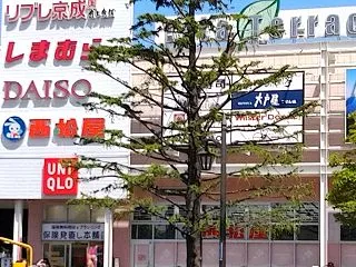 やっぱり苦手は苦手