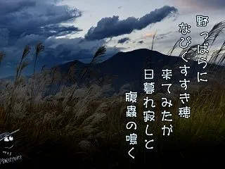 「秋の野っぱら」