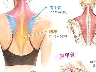 ゆるめるストレッチクラス ありがとうござ…