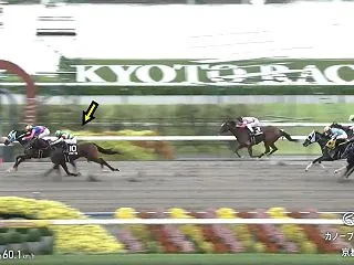 カナルビーグル カノープスＳで2着