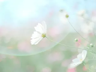 解決する前に、問題をしっかり理解する
