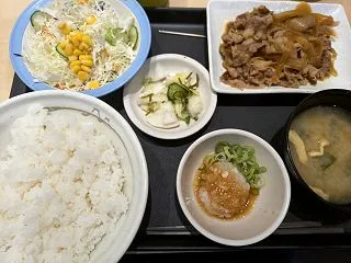 鬼おろしポン酢牛皿定食と、面接四戦目