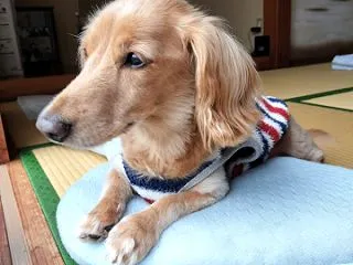 休みの日は…