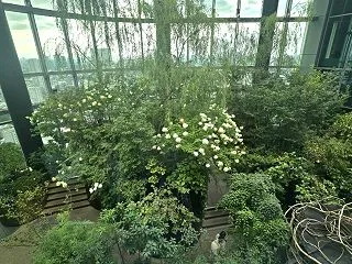 LUFTBAUM ☆ 高輪ゲートウェイ④
