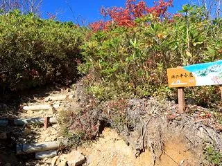 秋の裏劔_2026【池ノ平湿原編】