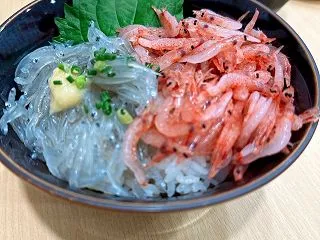 【静岡】三連休で静岡グルメを全制覇。ちび…