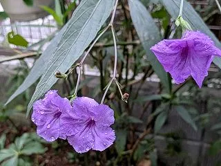与えられた環境でベストを尽くす
