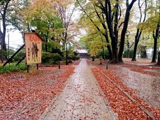 ブラウブリッツ秋田 26-27シーズン …