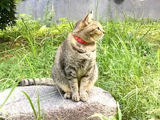 インスタのるりちゃん