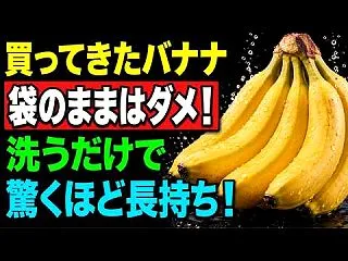 10/25(日) 未だ。。(1190歩)