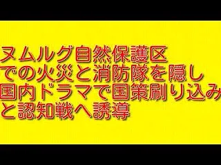 ヌムルグ自然保護区での火災と消防隊を隠し…