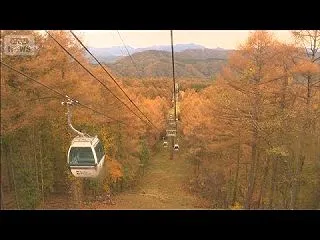 ゴンドラから楽しむ秋の空中散歩 「ハンタ…
