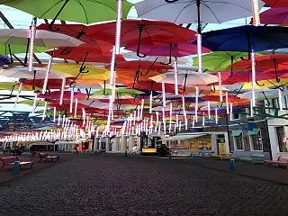 可愛さ見たさだけど・・大変