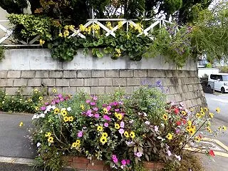 2026 夏の花たちに・・・