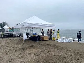 放置型収入なのに、アホみたいに働いていま…