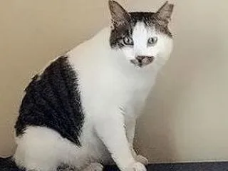 考えると頭が痛くなってくる。