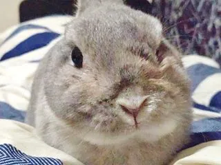 今日も可愛い。