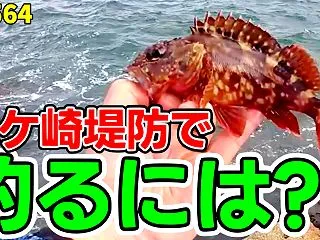 【穴釣り】北風爆風＆荒波の大人気堤防を攻…
