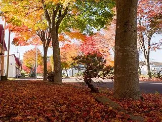 紅葉はもうしばらく楽しめそうです。