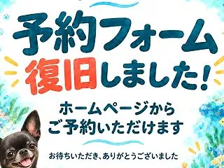 【予約フォーム復旧のお知らせ】