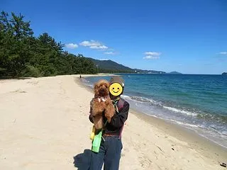 【犬連れ旅行記】愛犬と一緒に楽しめる天橋…