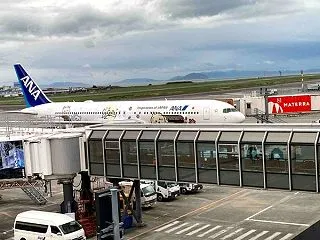 松山空港に遊んだらデッキに人だかり AN…