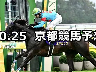 【菊花賞】2026/10/25(日) 中…