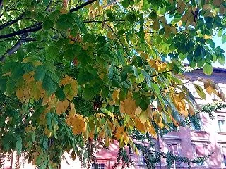 こんにちは、冬時間
