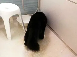 あの時から久しぶりおフロ探検 / 鶴舞公…
