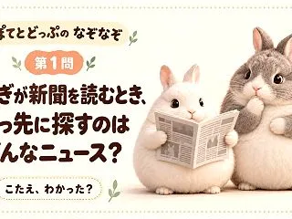 ぽてとどっぷのうさぎなぞなぞ12問！何問…
