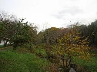 千歳市内の野鳥(2026/10/25)