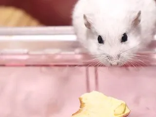 秋らしく