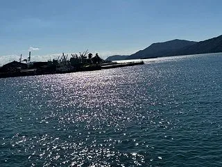 【変化の波に乗っていく】