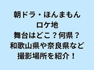 ほんまもんロケ地舞台どこ？何県？和歌山や…
