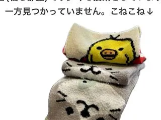 北半球も南半球も雨降りな週末。。。