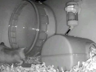 もっと
