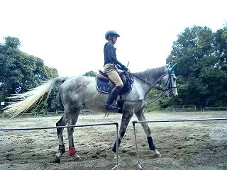 馬場馬術レッスンと宇宙