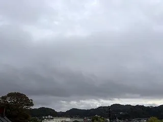 日本に入っては日本に従え