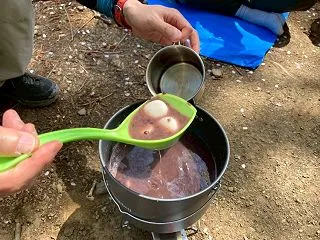 11/3（火）高尾山と秋の野草（花）