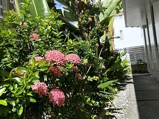 60代、これからの趣味と特技を考える日曜…